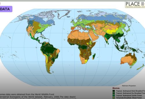 A Global Effort Sequences All Complex Life