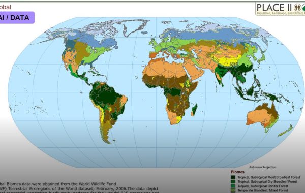 A Global Effort Sequences All Complex Life