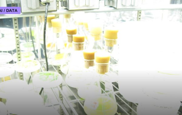 Synthetic Biology Builds a Minimal Living Cell