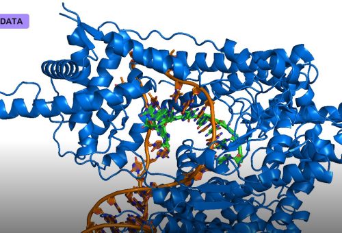 Programmable RNA Editing Offers a Reversible Alternative