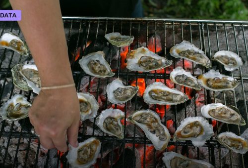 Cultivated Seafood Grows From Fish Cells