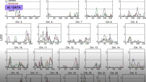 Genome-Wide Association Studies Scale to Millions