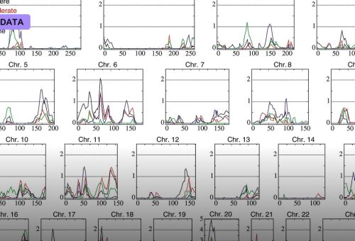 Genome-Wide Association Studies Scale to Millions
