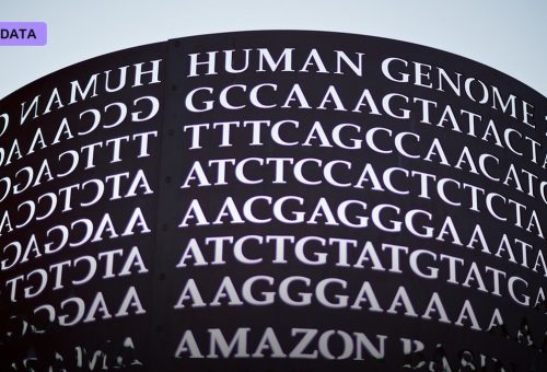 The Genome as Language, and the Limits of the Metaphor
