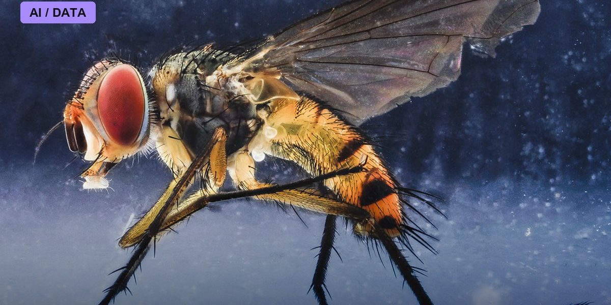 The Fly Brain Connectome Maps a Complete Nervous System