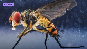 The Fly Brain Connectome Maps a Complete Nervous System
