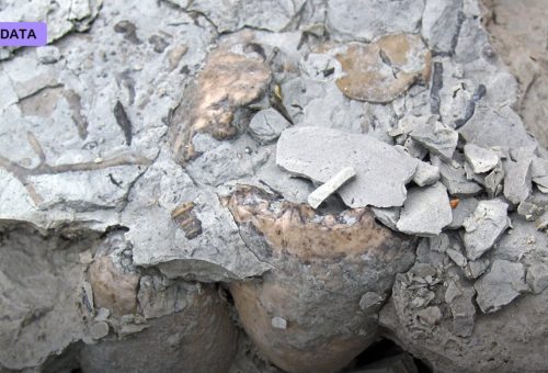 Carbon-Capture Cement Tackles a Stubborn Emitter