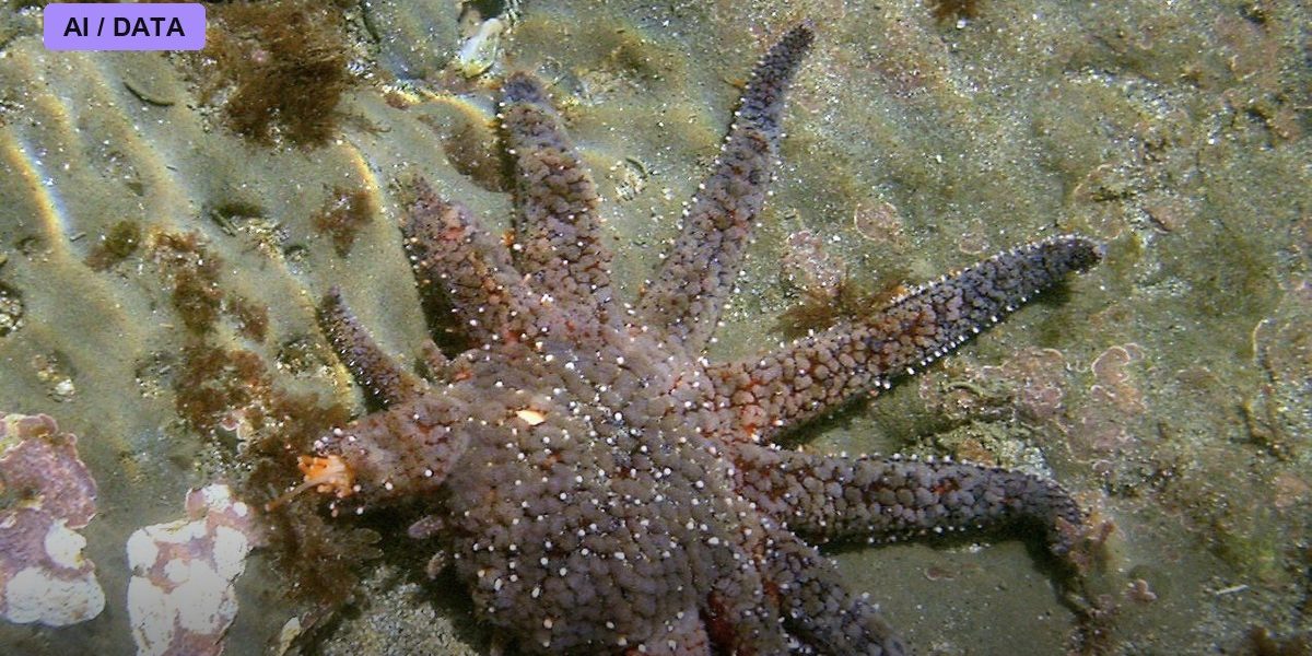 Regenerating a Limb: Lessons From the Axolotl