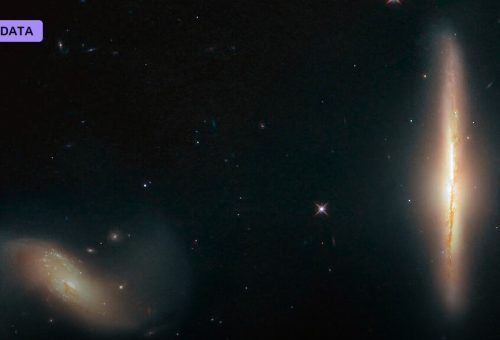 Wormhole Dynamics Are Simulated on a Quantum Processor