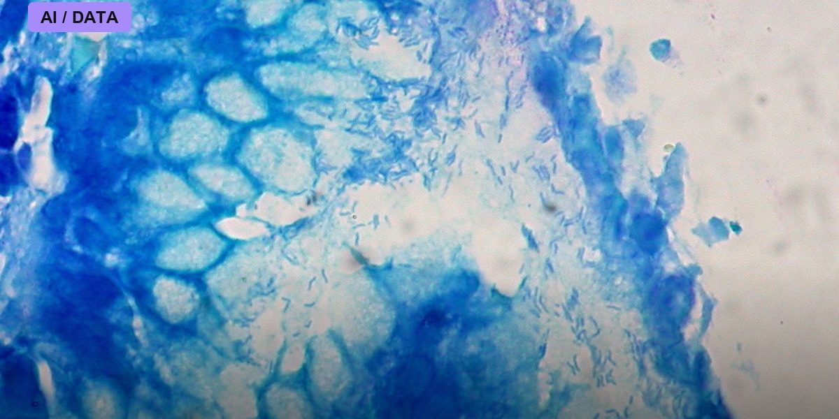 Liquid Biopsies Hunt Cancer in a Blood Draw