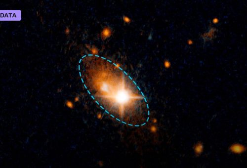 A Gravitational-Wave Hum Fills the Universe