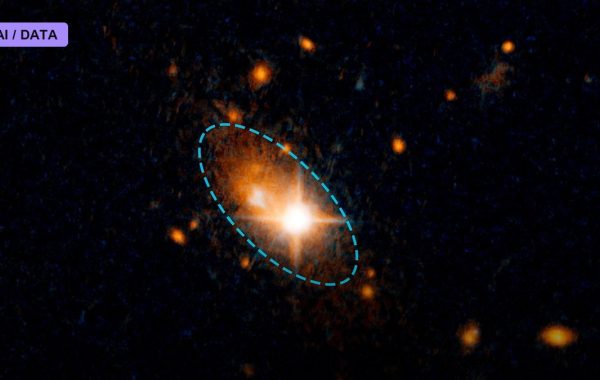 A Gravitational-Wave Hum Fills the Universe
