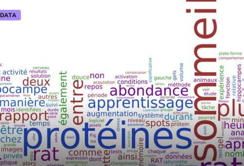 Protein Language Models Learn Biology From Sequence