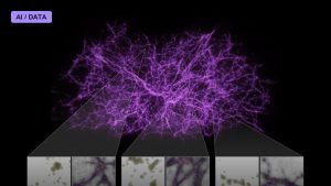 Mapping the Cosmic Web With Giant Surveys