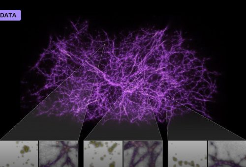 Mapping the Cosmic Web With Giant Surveys