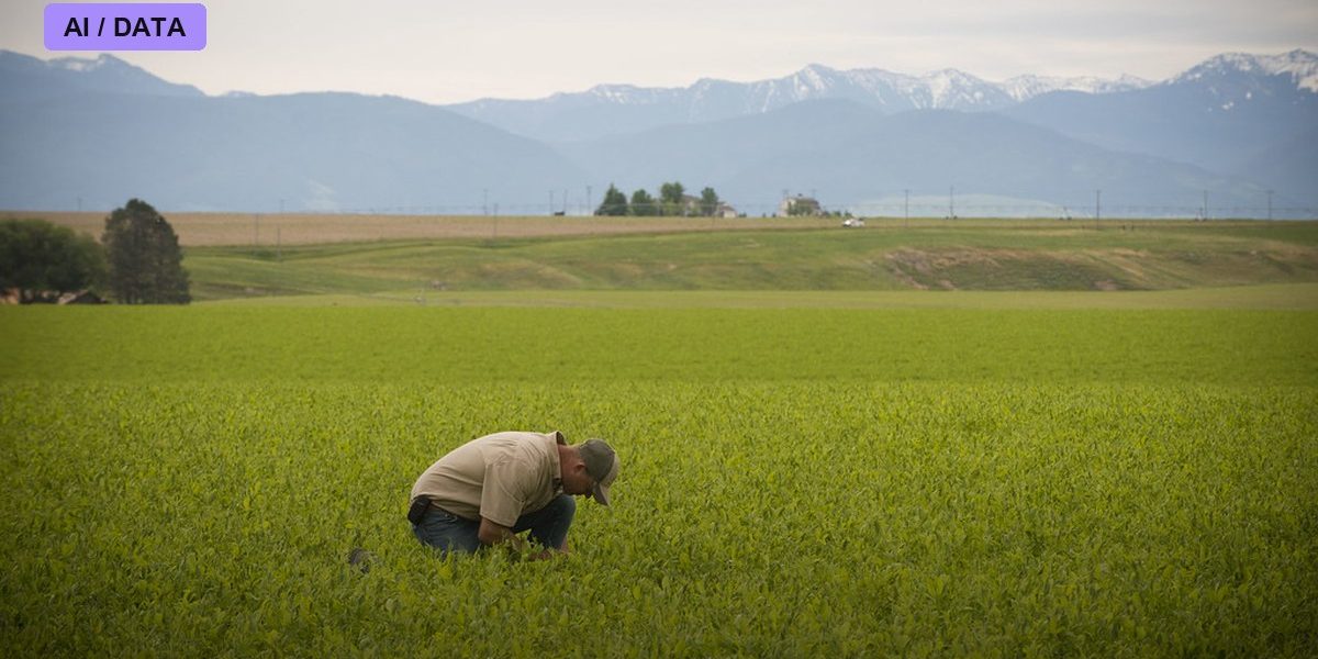 Nitrogen-Fixing Crops and the Fertilizer Dream