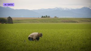 Nitrogen-Fixing Crops and the Fertilizer Dream