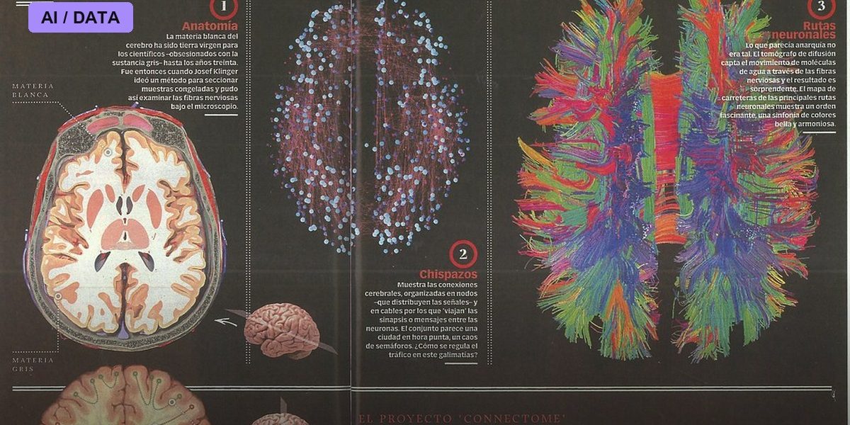 The Connectome of a Cubic Millimeter of Brain