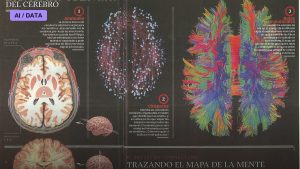 The Connectome of a Cubic Millimeter of Brain