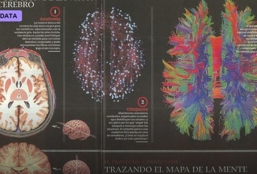 The Connectome of a Cubic Millimeter of Brain