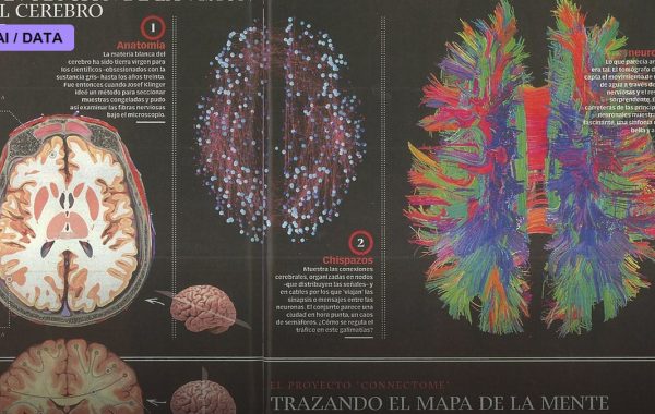 The Connectome of a Cubic Millimeter of Brain