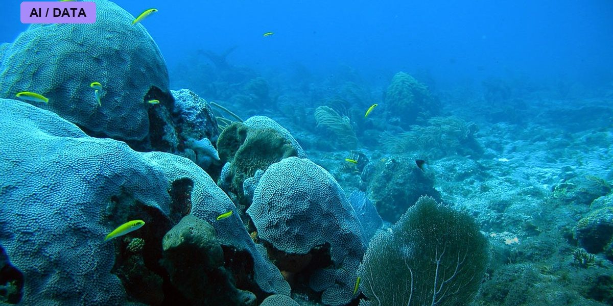 The Coral Frontier: Engineering Reefs to Survive