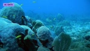 The Coral Frontier: Engineering Reefs to Survive