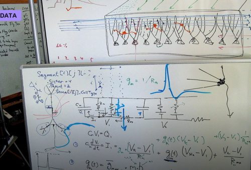 Sodium Rising: A Cheaper Battery Chemistry