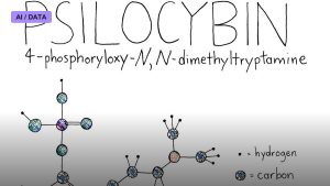 Psilocybin and a New Look at Depression