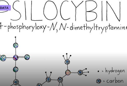Psilocybin and a New Look at Depression
