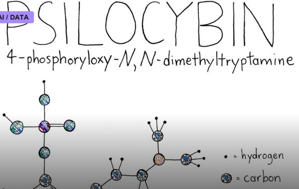 Psilocybin and a New Look at Depression