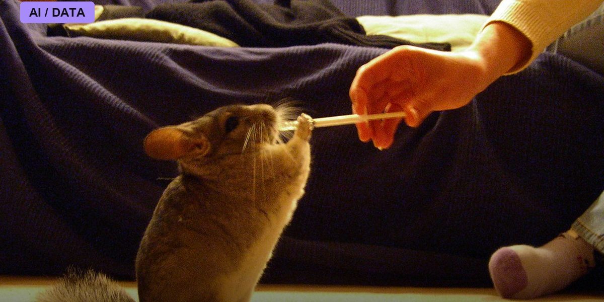 Chinchilla and the Rethinking of Scaling Laws