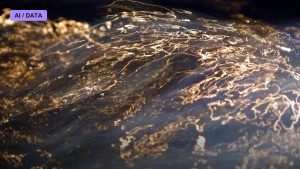 Wave-Particle Duality