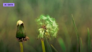 Broken Symmetry: How Structure Arises