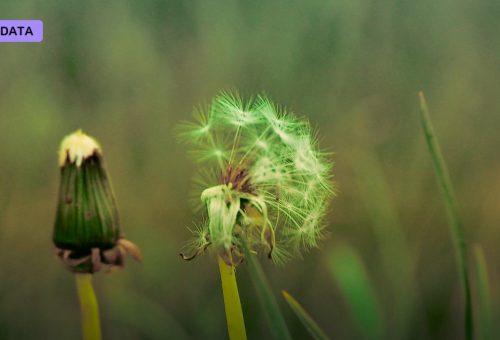 Broken Symmetry: How Structure Arises