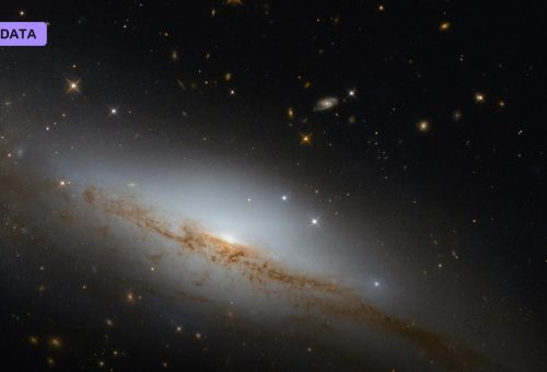 Exploration Versus Exploitation: The Explorer’s Dilemma