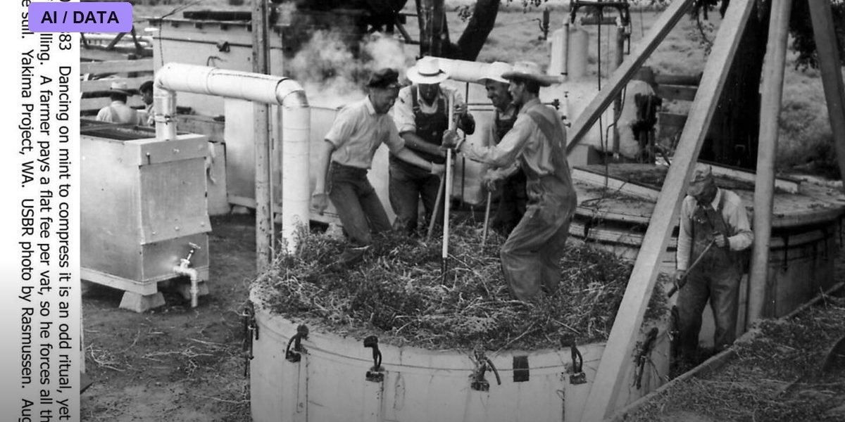 Distillation: Compressing One Mind Into a Smaller One
