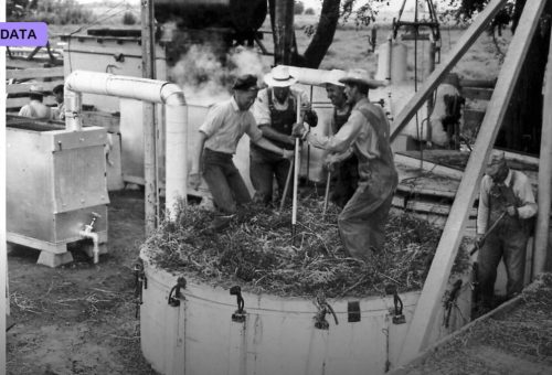 Distillation: Compressing One Mind Into a Smaller One