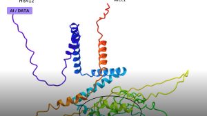 AlphaFold and the 50-Year Protein-Folding Problem