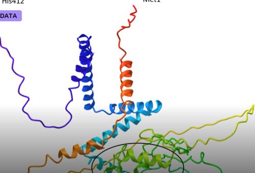 AlphaFold and the 50-Year Protein-Folding Problem