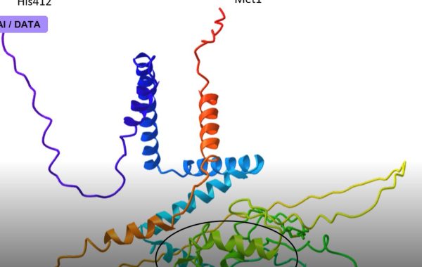 AlphaFold and the 50-Year Protein-Folding Problem