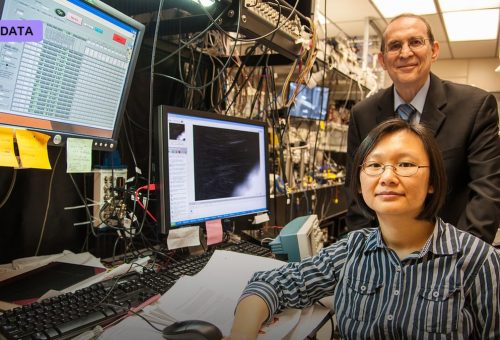 Superconducting Nickelates Open a New Materials Frontier