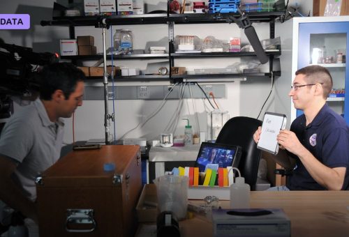 Low-Rank Adaptation Makes Fine-Tuning Cheap