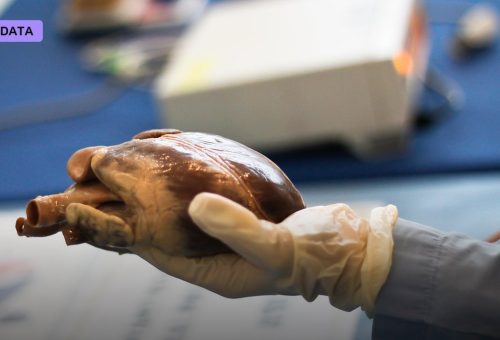 Superconductivity Claims and the Value of Skepticism