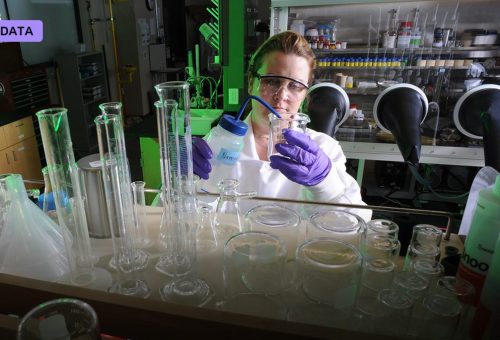 Reprogramming Cells to Turn Back Time
