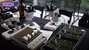 Epigenetic Clocks and the Measurement of Aging