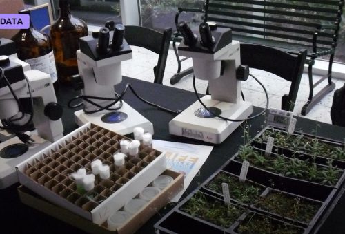 Epigenetic Clocks and the Measurement of Aging