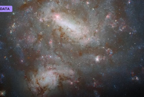 The Muon’s Wobble Hints at New Physics