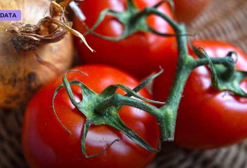 Nutrition Startups Berry Street and Healthify Merge to Ride the GLP-1 and AI Coaching Wave
